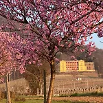Apartamento Fernblick Pfalz - Mit Sauna