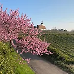 Appartement Fernblick Pfalz - Mit Sauna
