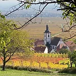 Appartement Fernblick Pfalz - Mit Sauna *