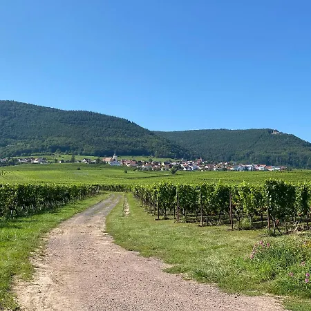 Fernblick Pfalz - Mit Sauna Daire Weyher
