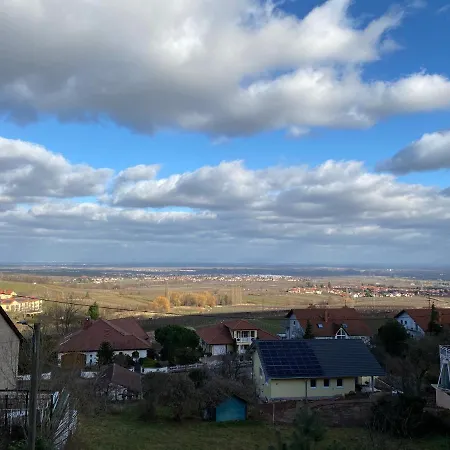 아파트 Fernblick Pfalz - Mit Sauna *