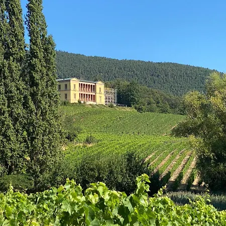 Fernblick Pfalz - Mit Sauna *