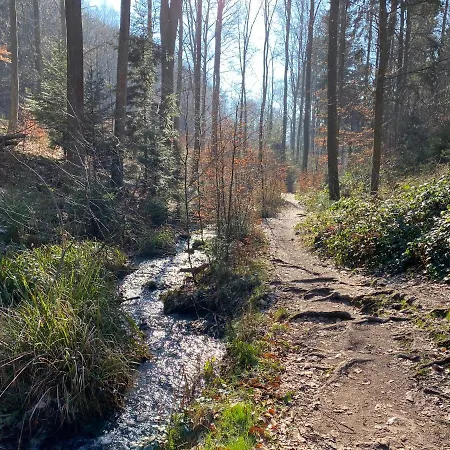 Fernblick Pfalz - Mit Sauna 아파트 *