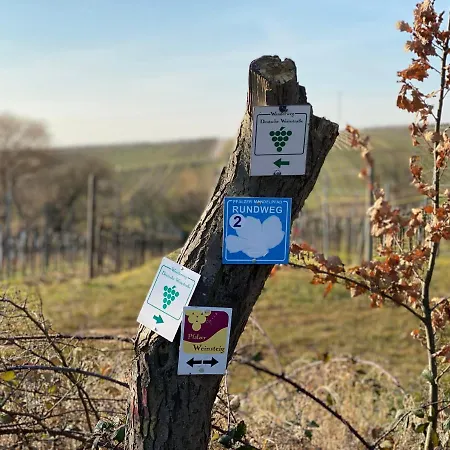 Fernblick Pfalz - Mit Sauna