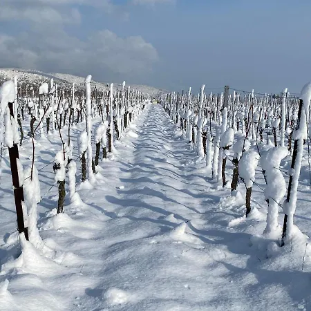 Fernblick Pfalz - Mit Sauna Lägenhet