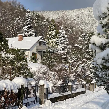 Fernblick Pfalz - Mit Sauna Apartamento Weyher