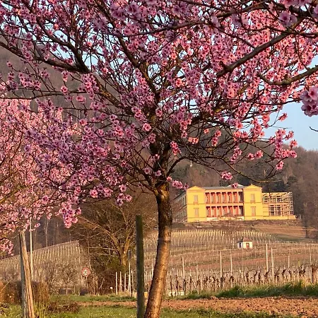 Lägenhet Fernblick Pfalz - Mit Sauna
