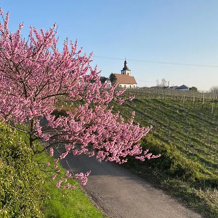 Apartment Fernblick Pfalz - Mit Sauna