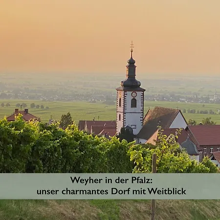 Fernblick Pfalz - Mit Sauna