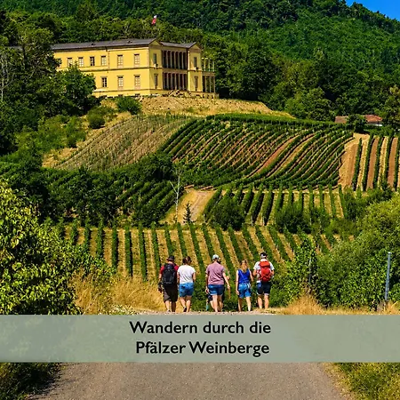 アパート Fernblick Pfalz - Mit Sauna Weyher