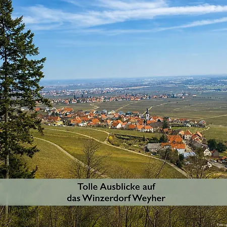 アパート Fernblick Pfalz - Mit Sauna Weyher