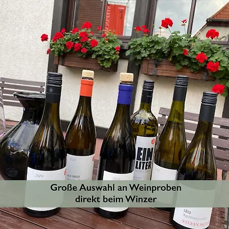 Fernblick Pfalz - Mit Sauna *