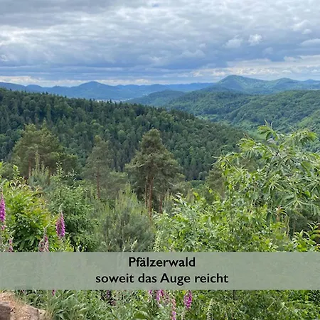Fernblick Pfalz - Mit Sauna アパート Weyher