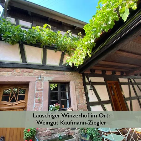 Fernblick Pfalz - Mit Sauna