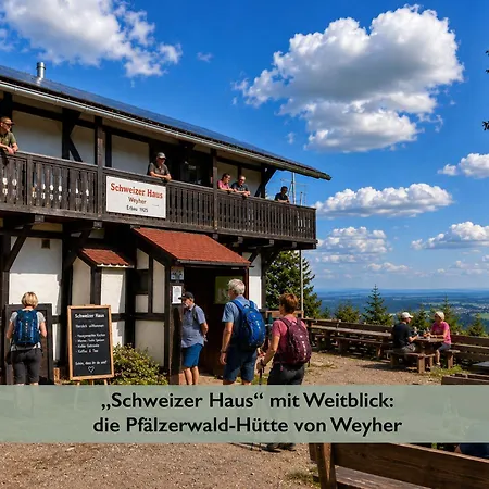 Fernblick Pfalz - Mit Sauna アパート *
