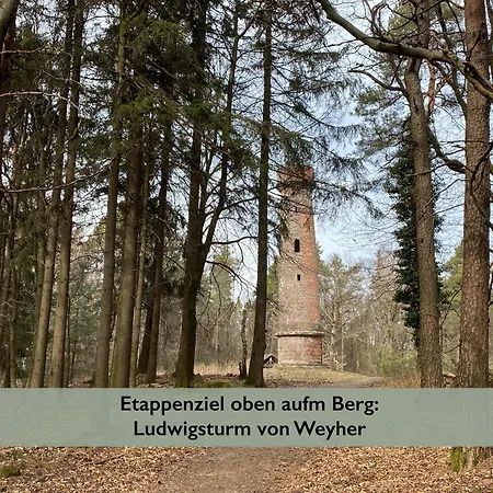Fernblick Pfalz - Mit Sauna Weyher