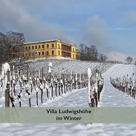 Fernblick Pfalz - Mit Sauna *