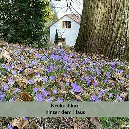 アパート Fernblick Pfalz - Mit Sauna Weyher
