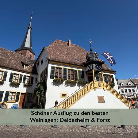 アパート Fernblick Pfalz - Mit Sauna Weyher