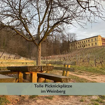 Fernblick Pfalz - Mit Sauna アパート *