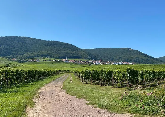 Fernblick Pfalz - Mit Sauna 公寓 Weyher