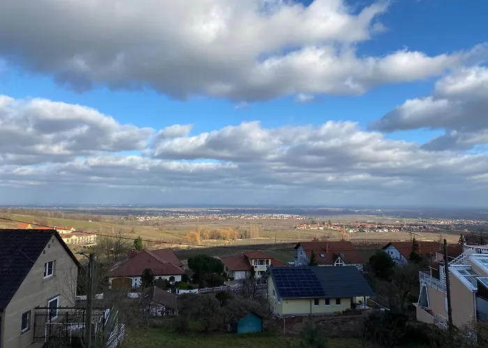 公寓 Fernblick Pfalz - Mit Sauna *