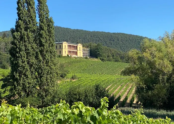 Fernblick Pfalz - Mit Sauna *