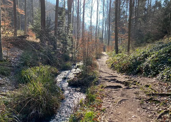 Fernblick Pfalz - Mit Sauna 公寓 *