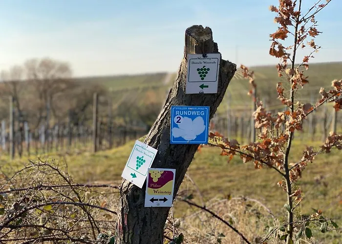 Fernblick Pfalz - Mit Sauna