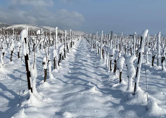 Fernblick Pfalz - Mit Sauna Apartamento