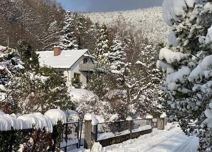 Fernblick Pfalz - Mit Sauna Apartamento Weyher