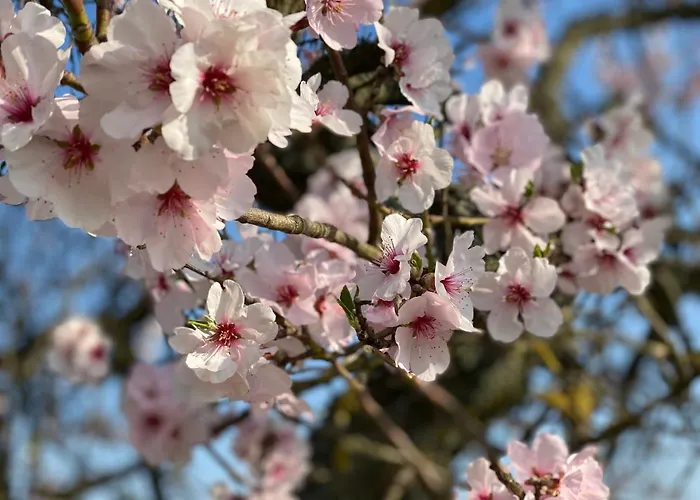 Fernblick Pfalz - Mit Sauna
