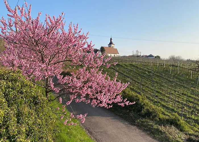 公寓 Fernblick Pfalz - Mit Sauna