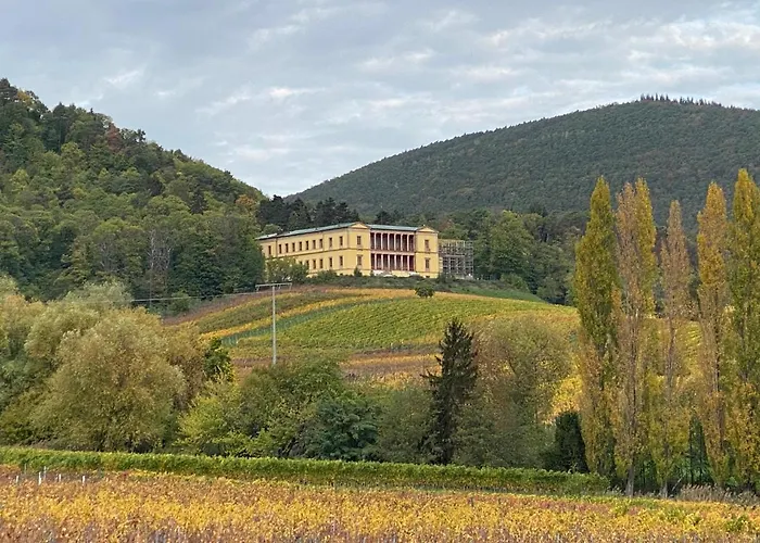 公寓 Fernblick Pfalz - Mit Sauna