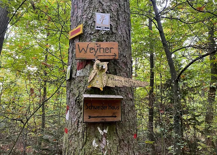 Fernblick Pfalz - Mit Sauna 公寓 Weyher